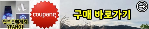 gume_yfan01_c.jpg