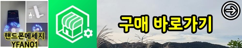 gume_yfan01_n.jpg