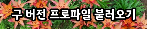 020_구버젼프로파일.jpg
